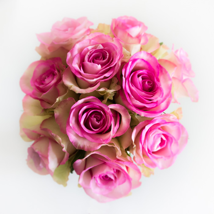 bouquet_lionel